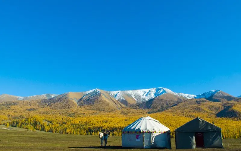 Mongolia Wyc. objazdowe Wyc. objazdowe Mongolia jakiej nie znacie