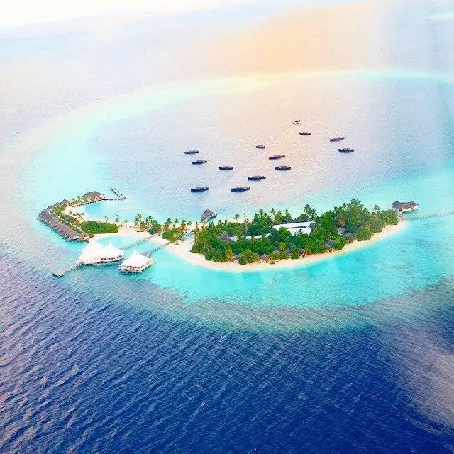 Malediwy Ari Atol Mushimasgali Safari Island Resort & SPA