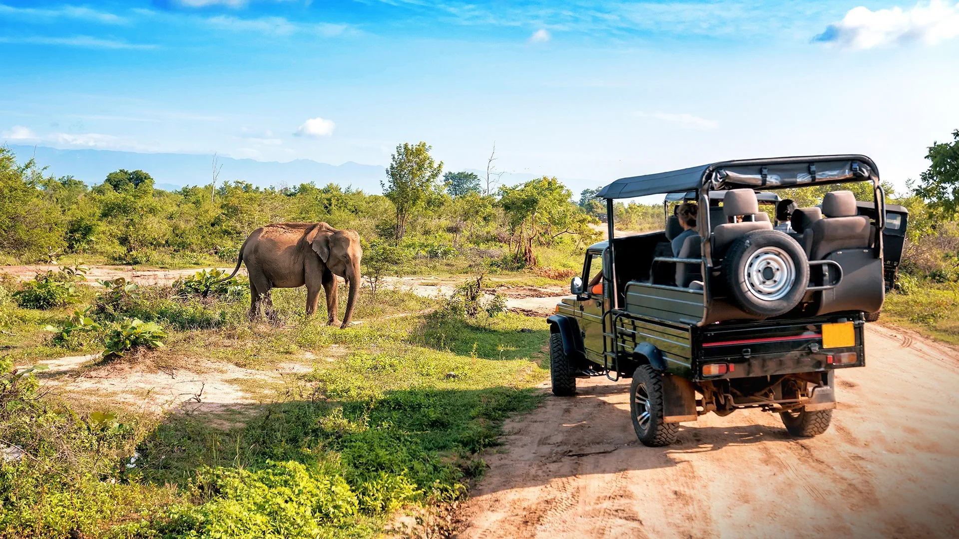 Sri Lanka Wyc. objazdowe Wyc. objazdowe Lankijskie Safari