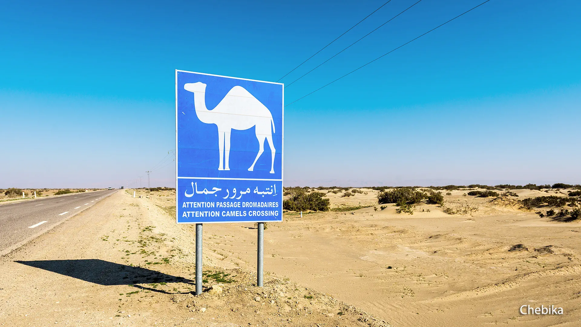 Tunezja Wyc. objazdowe Wyc. objazdowe Saharyjski Off-road
