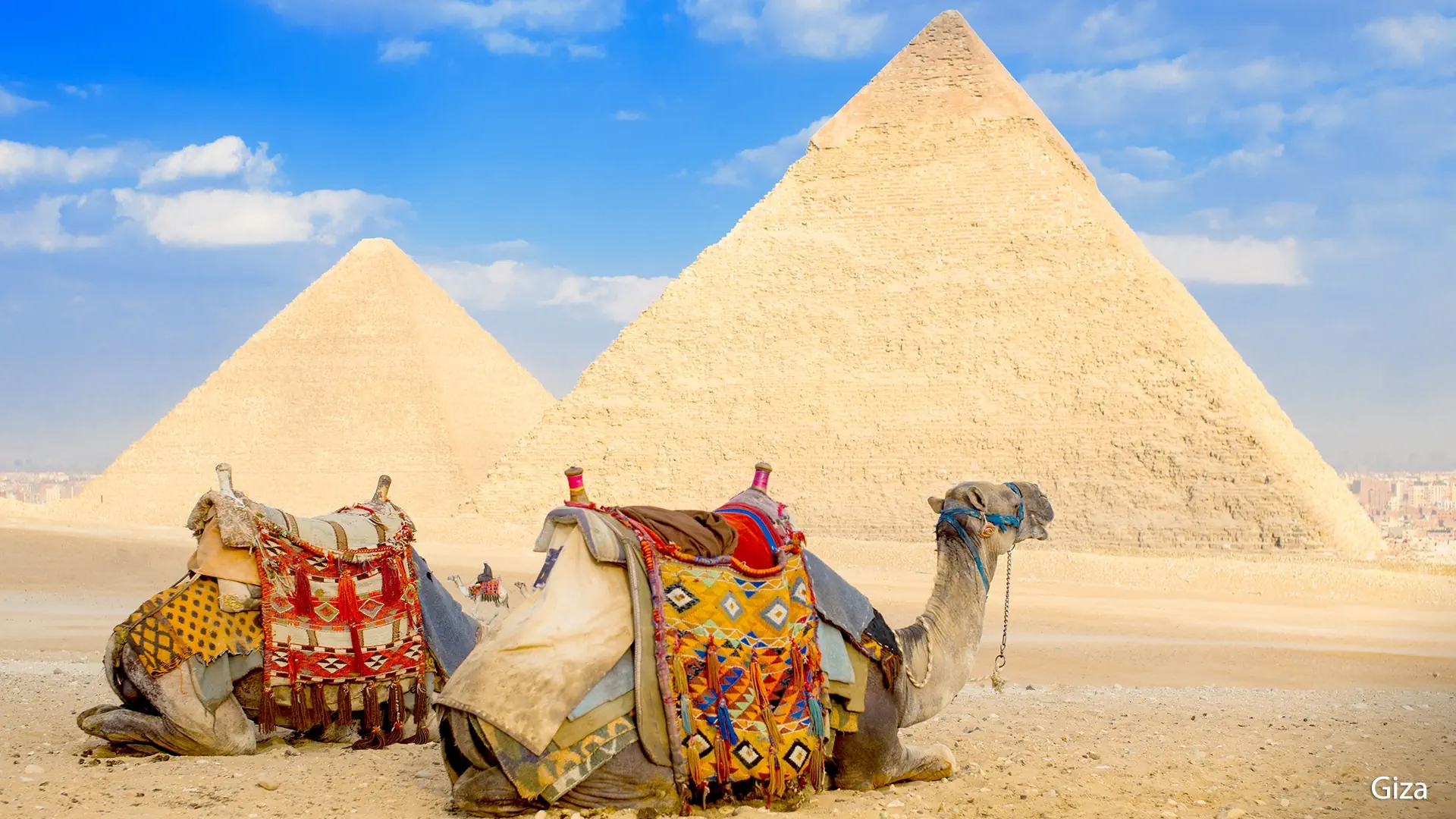 Egipt Wyc. objazdowe Wyc. objazdowe Tylko dla Ciebie – Sekrety Faraonów