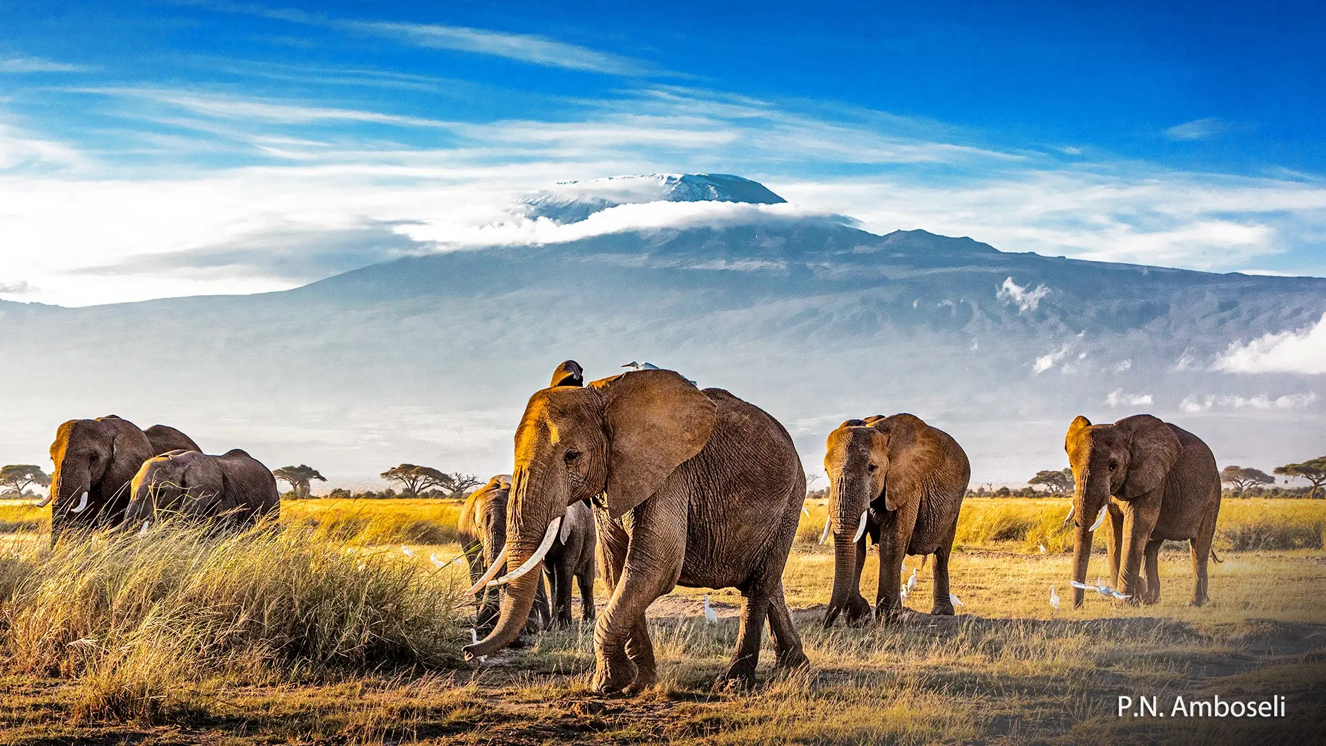 Kenia Wyc. objazdowe Wyc. objazdowe Na Czerwonej Ziemi Masajów