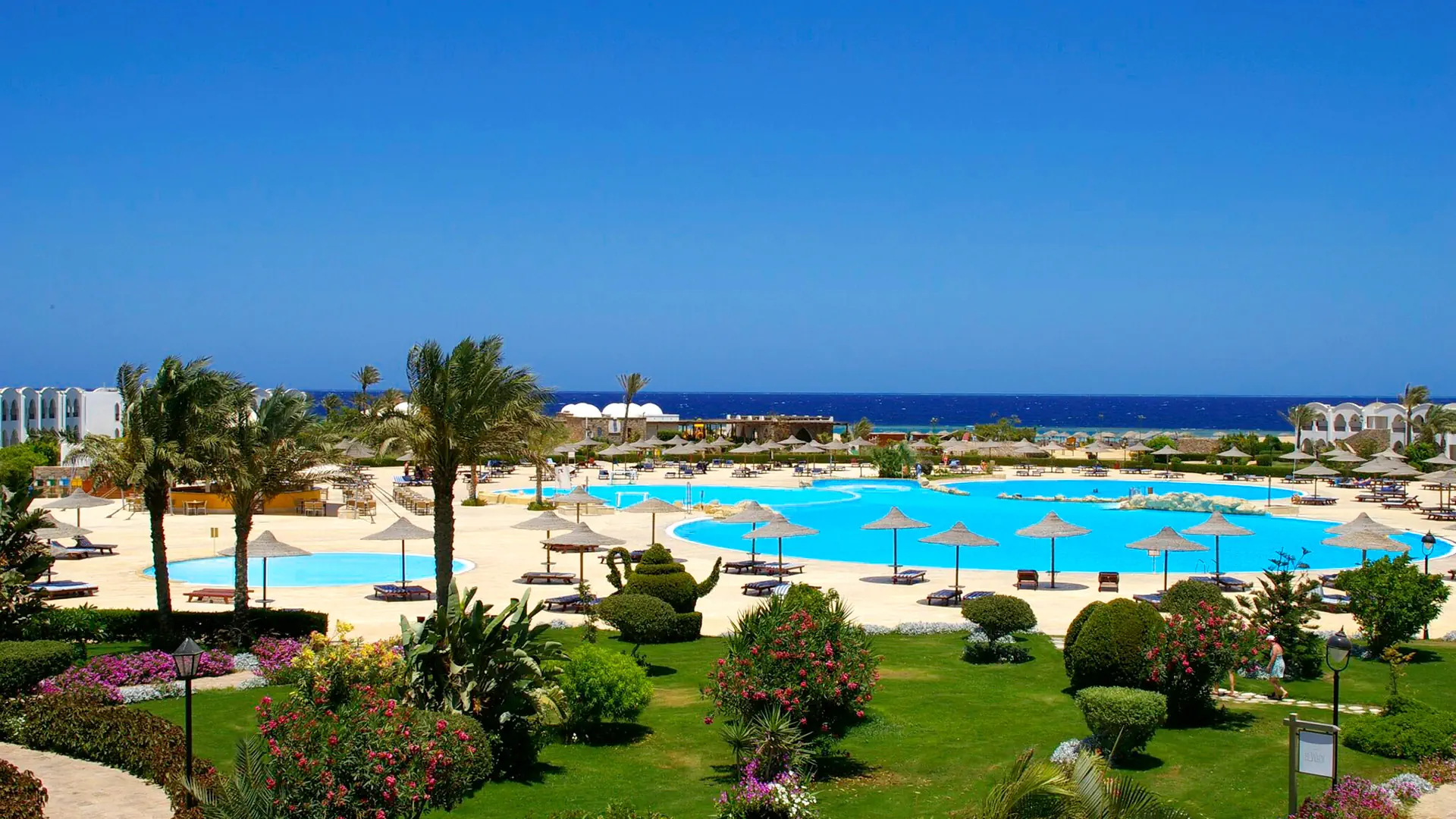 Egipt Marsa Alam Marsa Alam Gorgonia Beach Resort