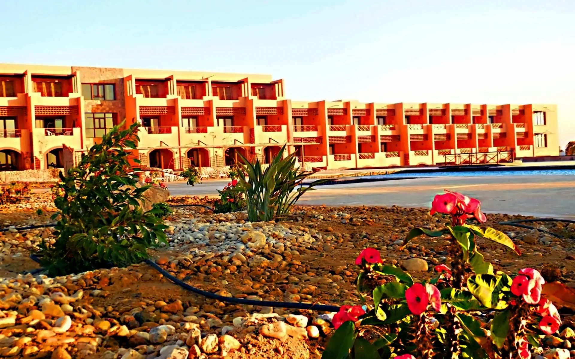 Egipt Hurghada Hurghada Viva Blue Resort Soma Bay (Adults Only 12+)