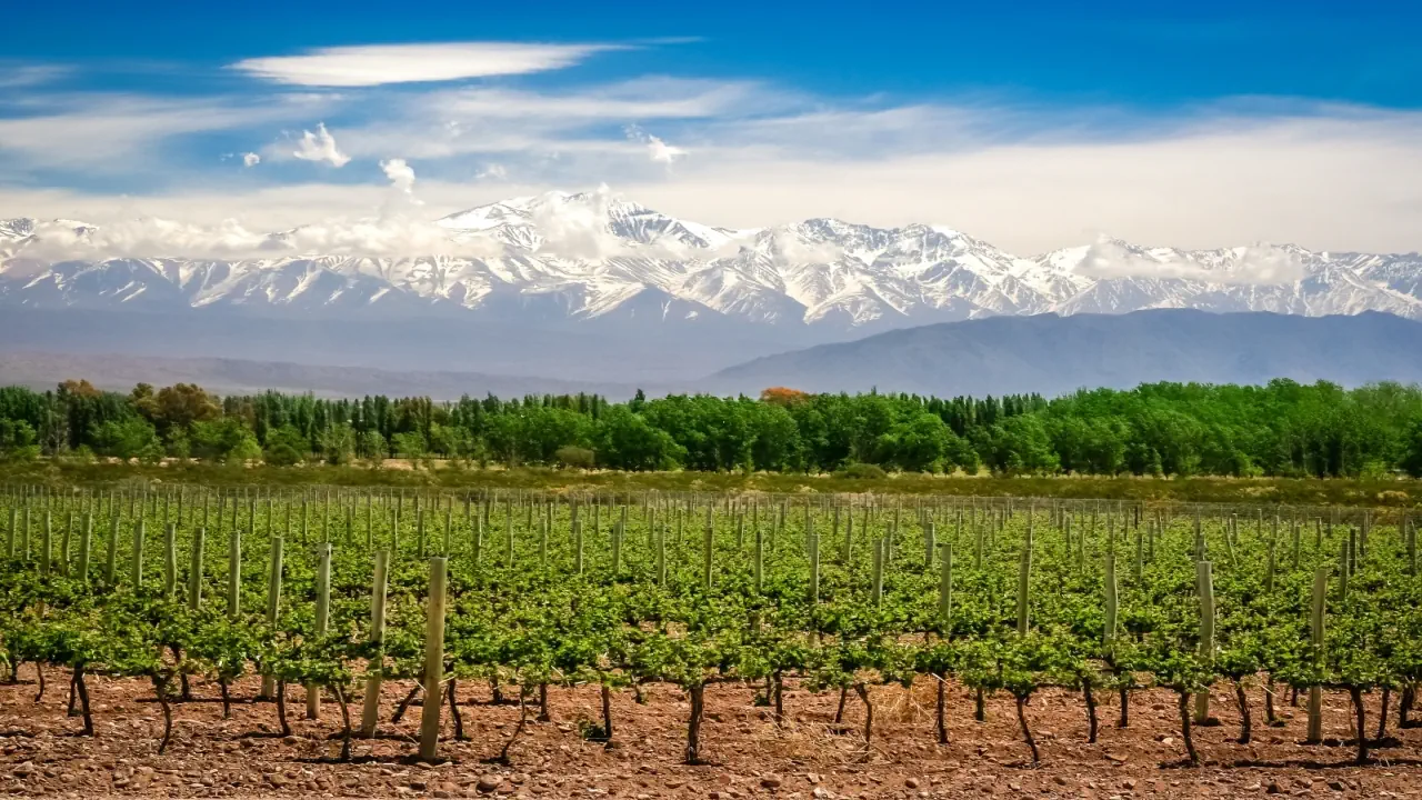 Pięć krajów Ameryki Południowej - Chile - Argentyna - Urugwaj - Paragwaj - Brazylia - zdjęcie 10