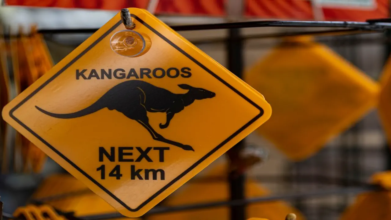 Po drugiej stronie Ziemi - Nowa Zelandia - Australia - zdjęcie 9