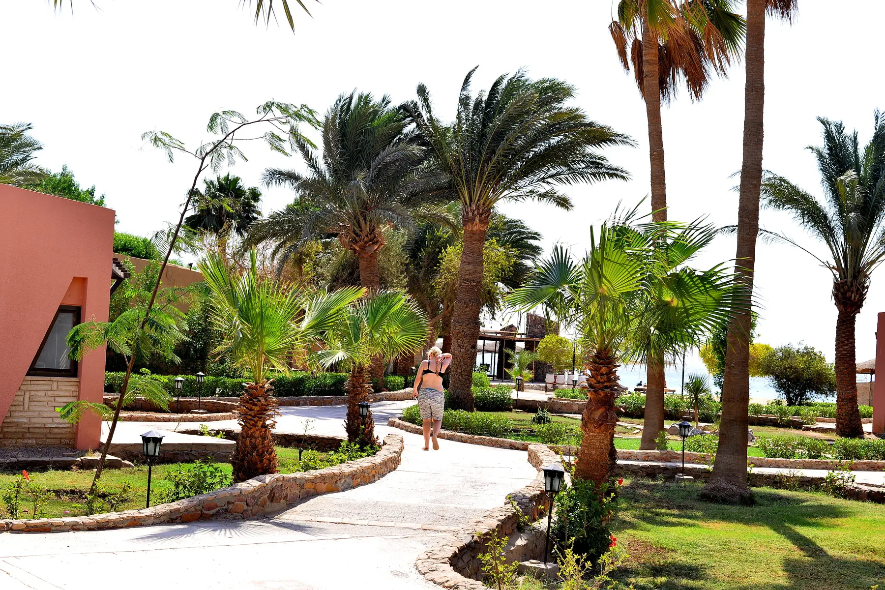 Eagles Paradise Abu Soma Resort - zdjęcie 15
