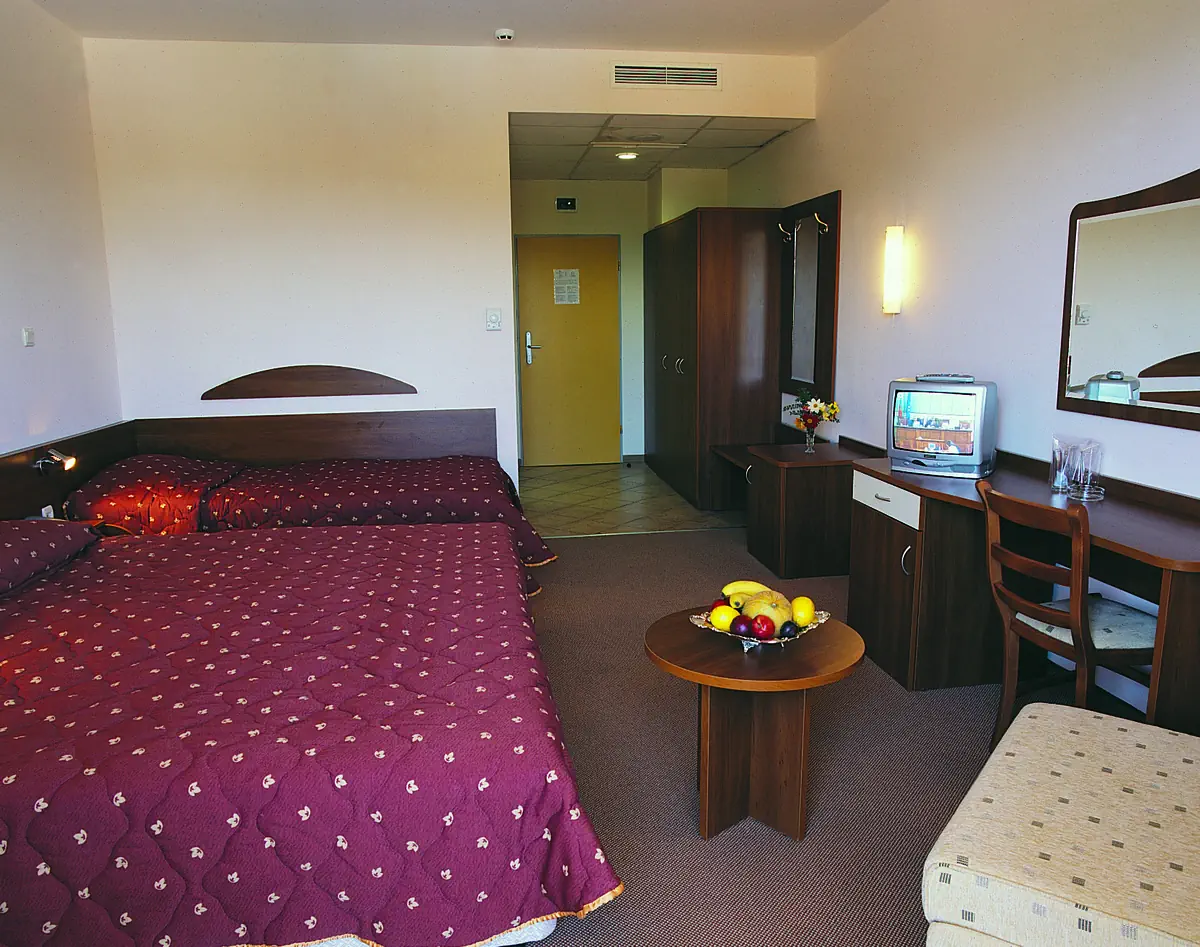 Parkhotel Continental - zdjęcie 16