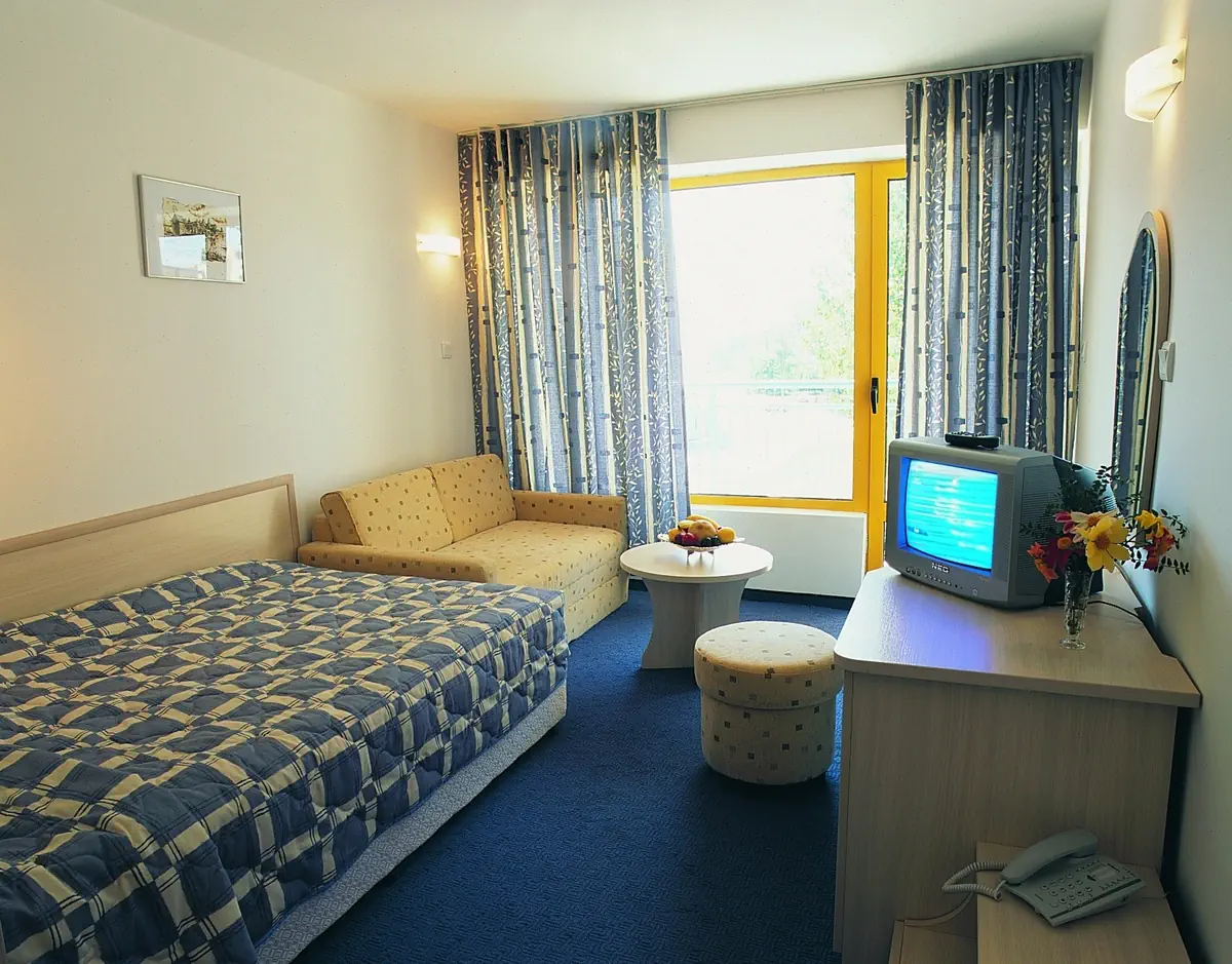 Parkhotel Continental - zdjęcie 14