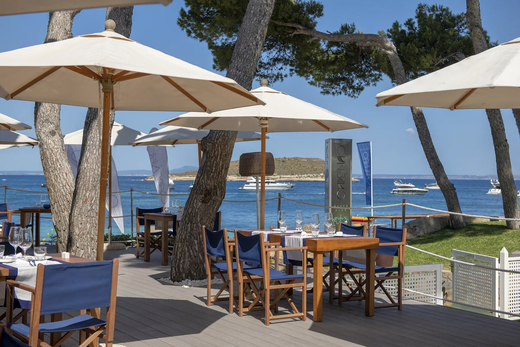 Melia Calvia Beach - zdjęcie 14