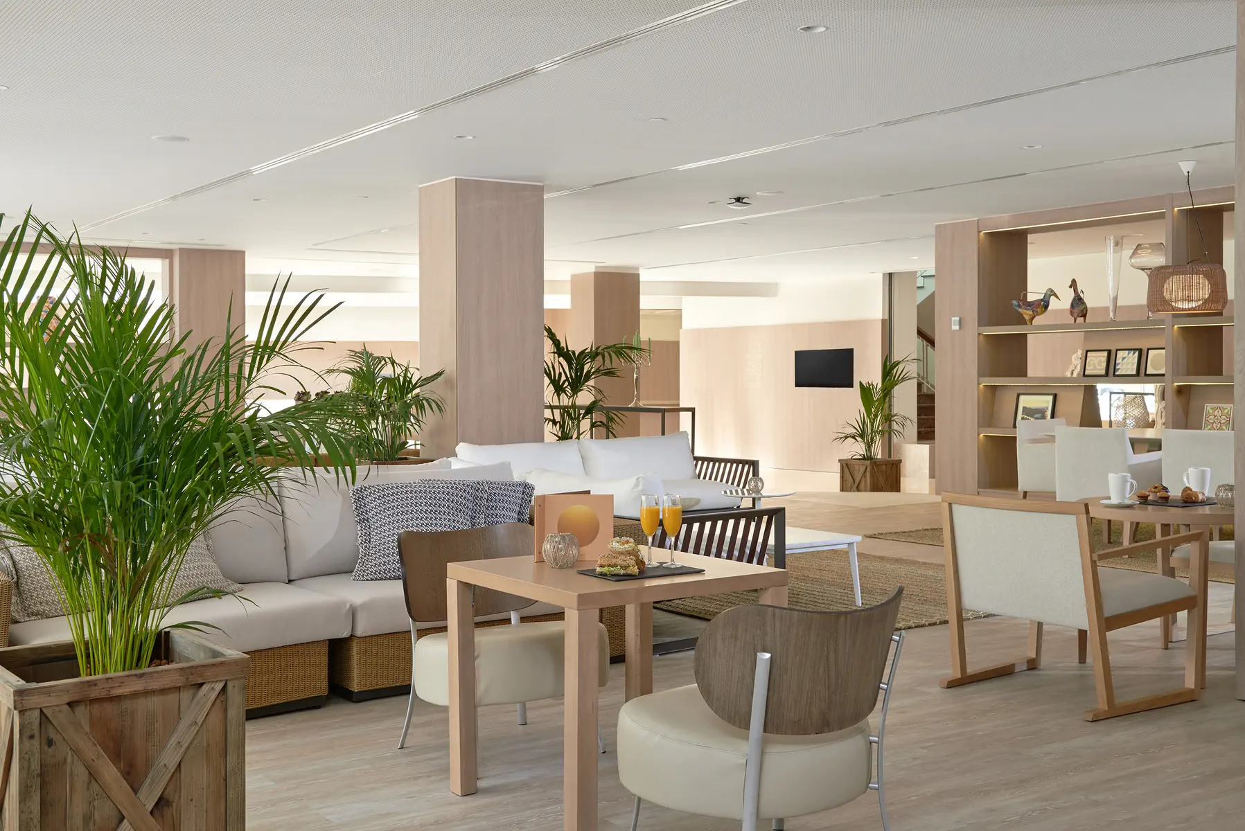 Melia Calvia Beach - zdjęcie 9