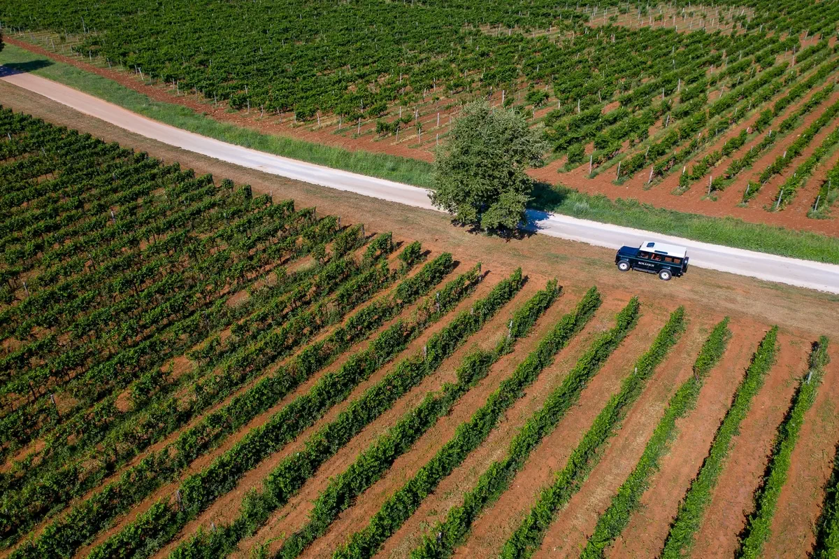 Roxanich Winery & Design - zdjęcie 5