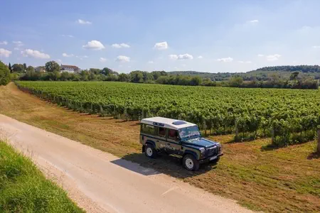 Roxanich Winery & Design - zdjęcie 19