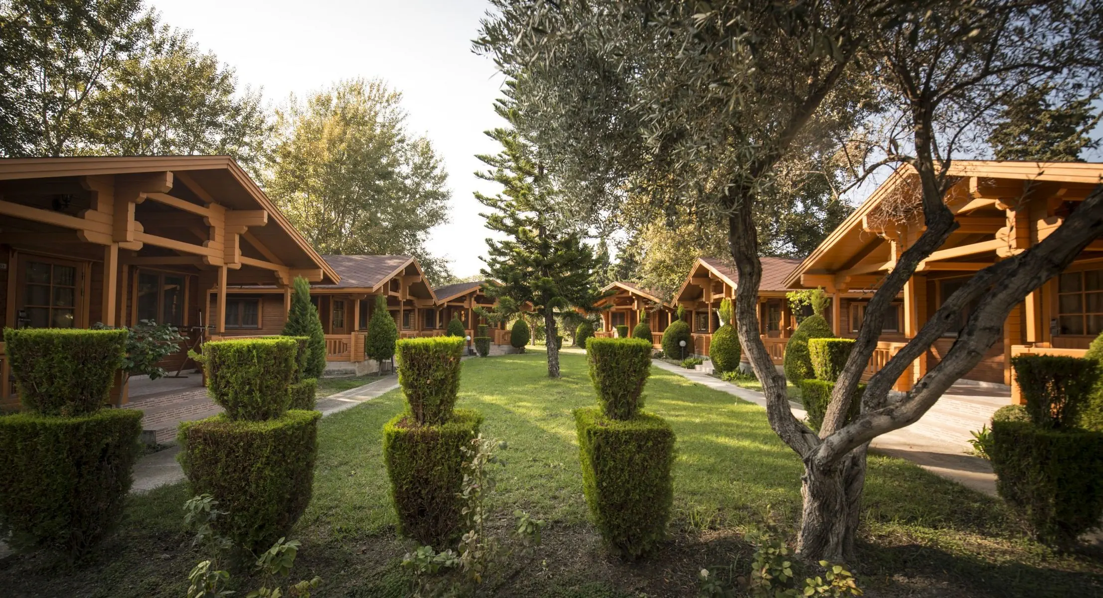 Sandys Studios & Log Villas - zdjęcie 22