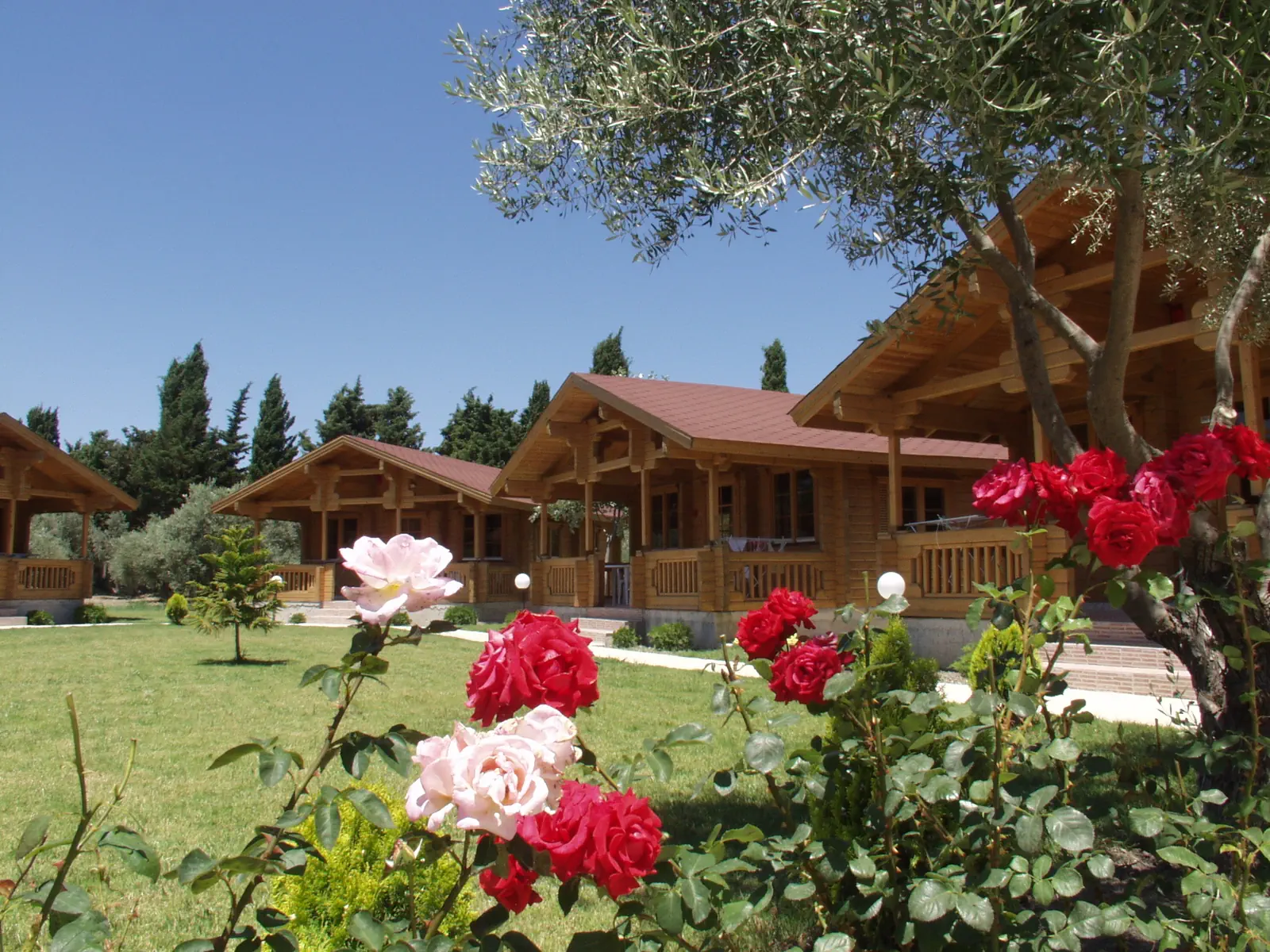 Sandys Studios & Log Villas - zdjęcie 7