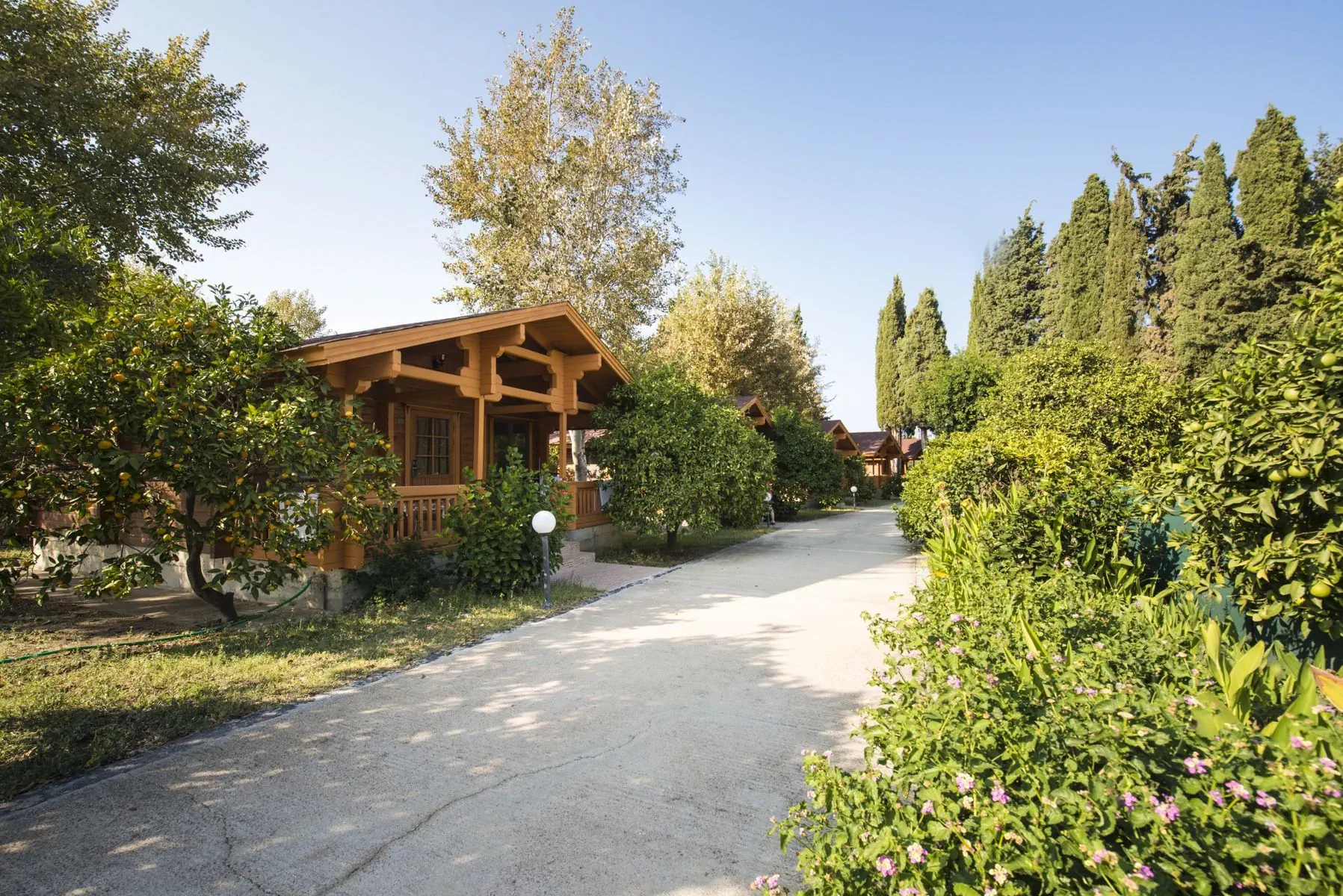 Sandys Studios & Log Villas - zdjęcie 21