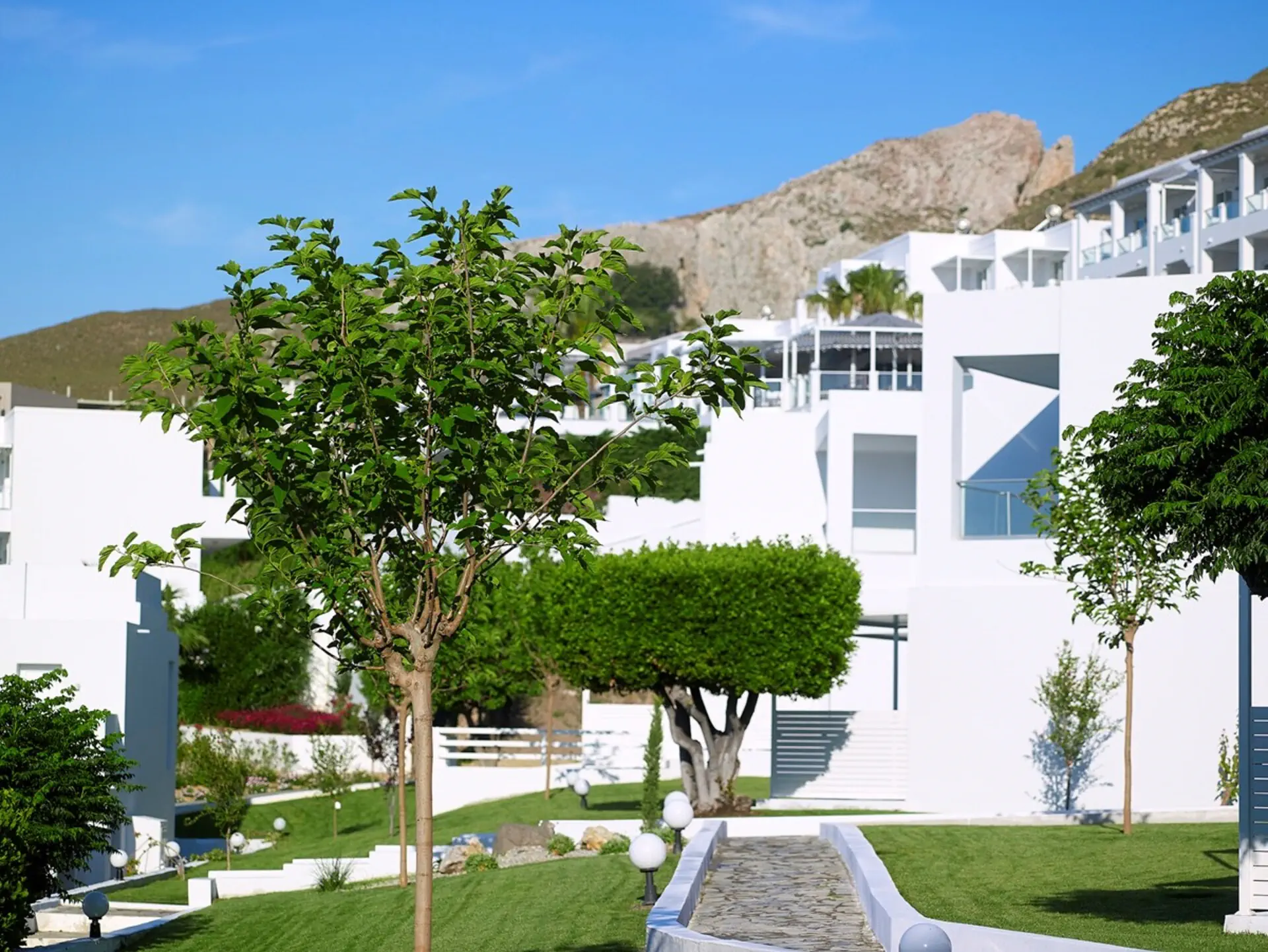Dimitra Beach Hotel & Suites - zdjęcie 6