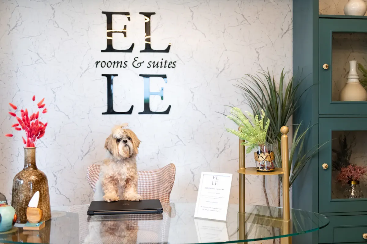 ELLE Rooms & Suites - zdjęcie 6
