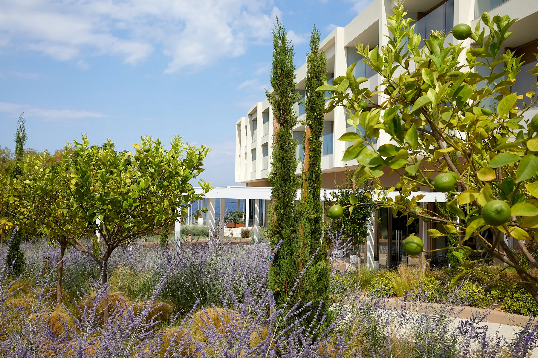 Vincci Evereden Beach Resort (ex. Eden Beach Resort) - zdjęcie 9