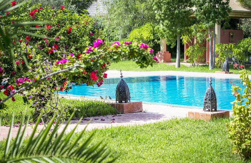 Las Palmeras (Marrakesz) - zdjęcie 13