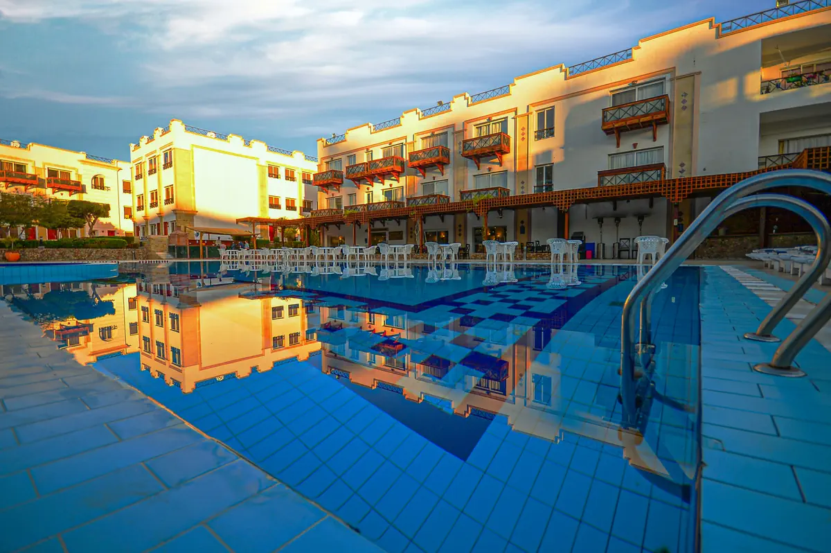 Falcon Naama Star - zdjęcie 3