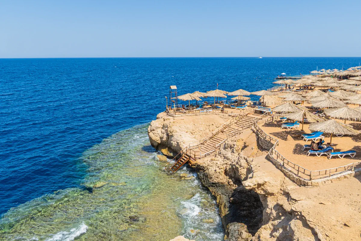Sharm Reef - zdjęcie 3