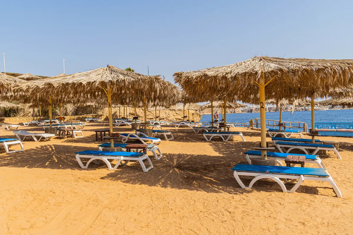 Sharm Reef - zdjęcie 4