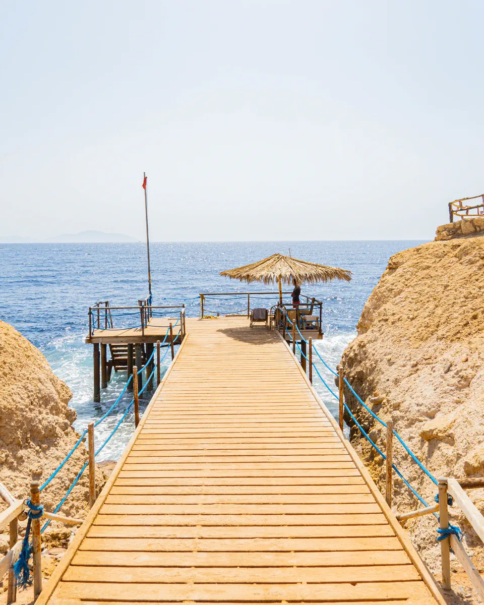 Sharm Reef - zdjęcie 5