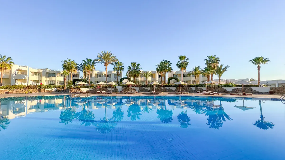 Sharm Reef - zdjęcie 9