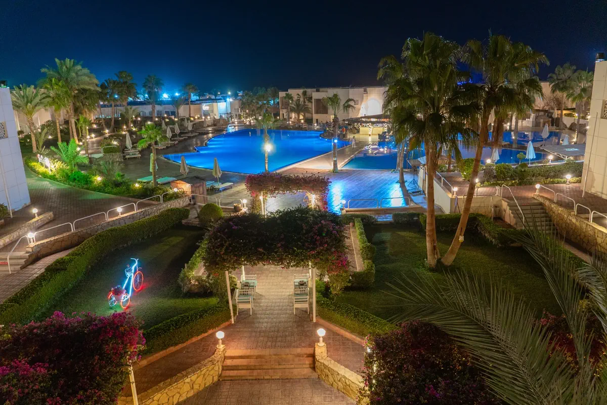 Sharm Reef - zdjęcie 6