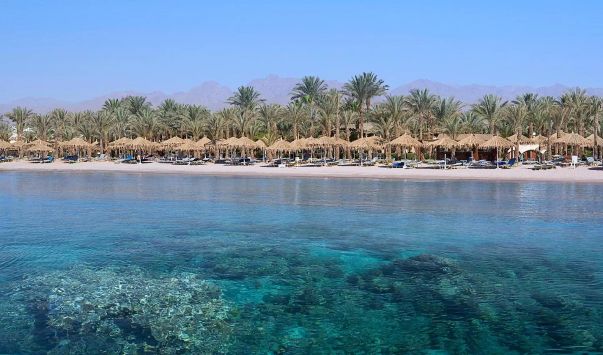 Jaz Sharm Dreams Resort - zdjęcie 3