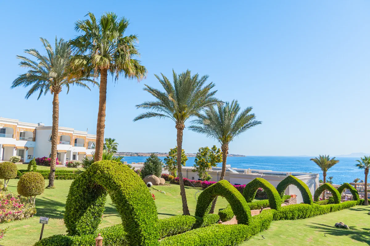 Club Reef (Sharm El Sheikh) - zdjęcie 4