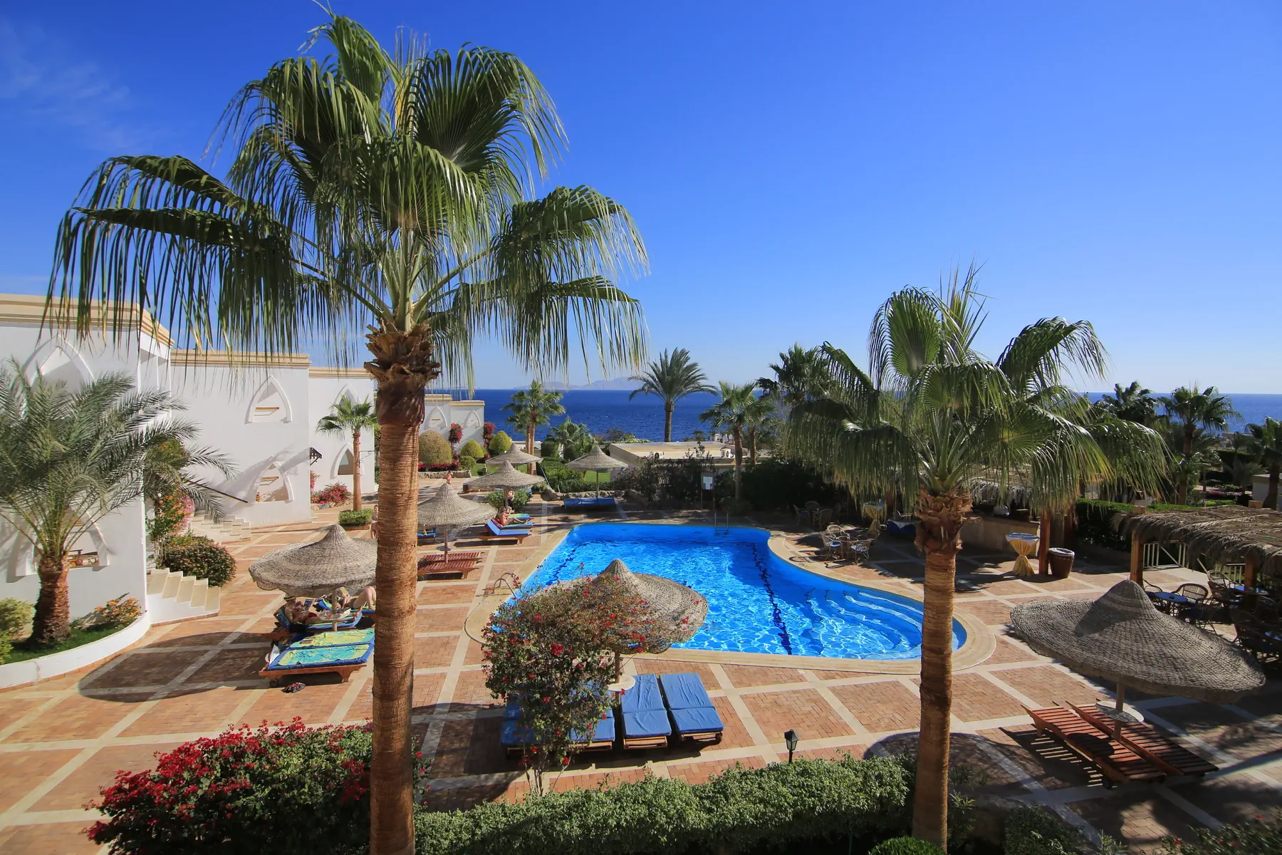 Club Reef (Sharm El Sheikh) - zdjęcie 2