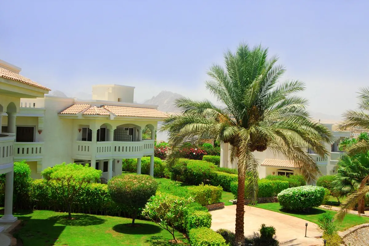 Naama Bay Hotel & Resort - zdjęcie 9