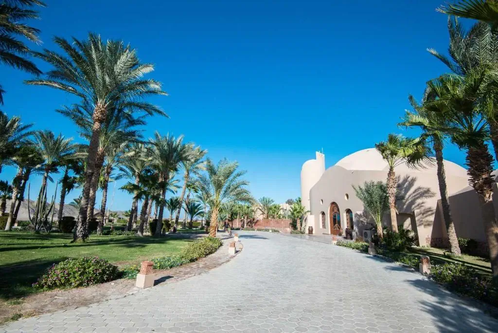 Shams Alam Beach Resort - zdjęcie 24