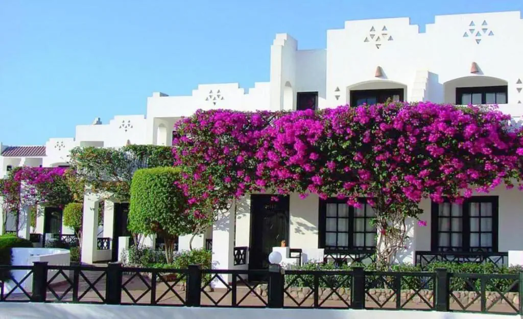 Verginia Sharm Resort - zdjęcie 3