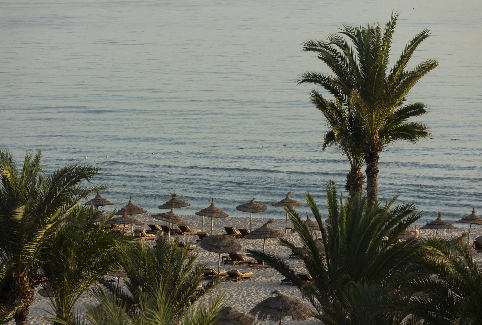 Movenpick Resort & Marine - zdjęcie 3