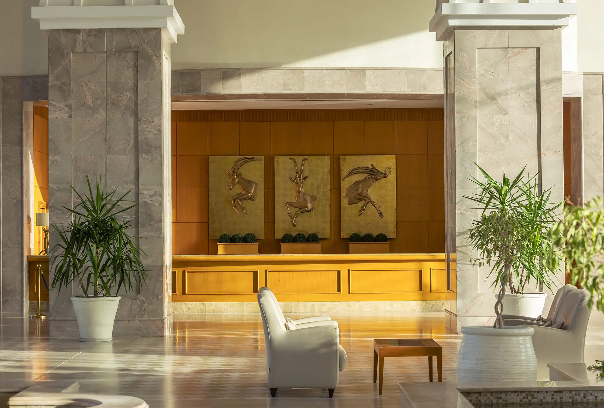 Movenpick Resort & Marine - zdjęcie 39