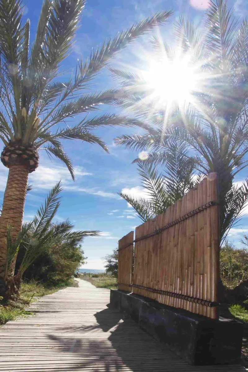 HOTEL Hotel Playas de Guardamar