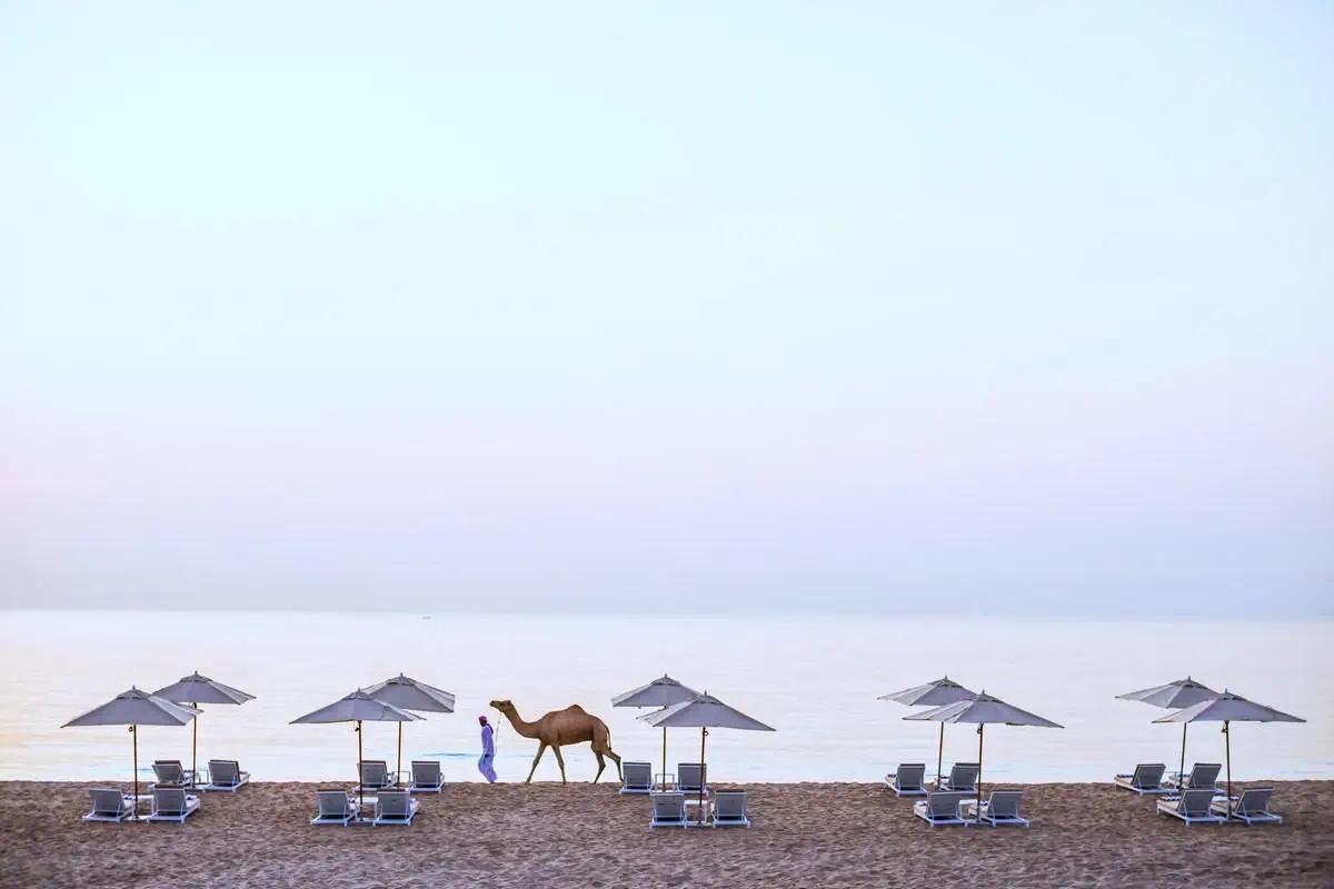 HOTEL Intercontinental Fujairah Resort