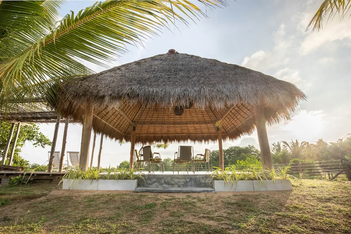 Club ManGo - Eco Chic Resort - zdjęcie 6