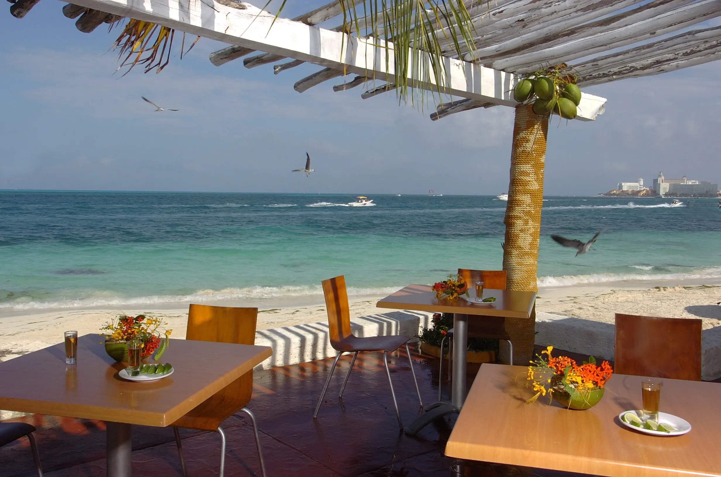 Maya Caribe Faranda
