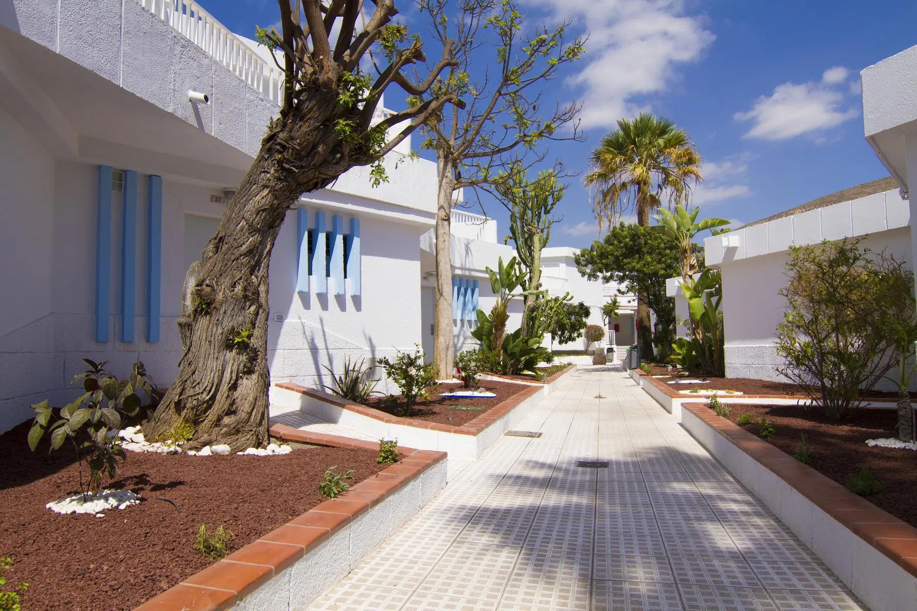 HOTEL Checkin Bungalows Atlantida