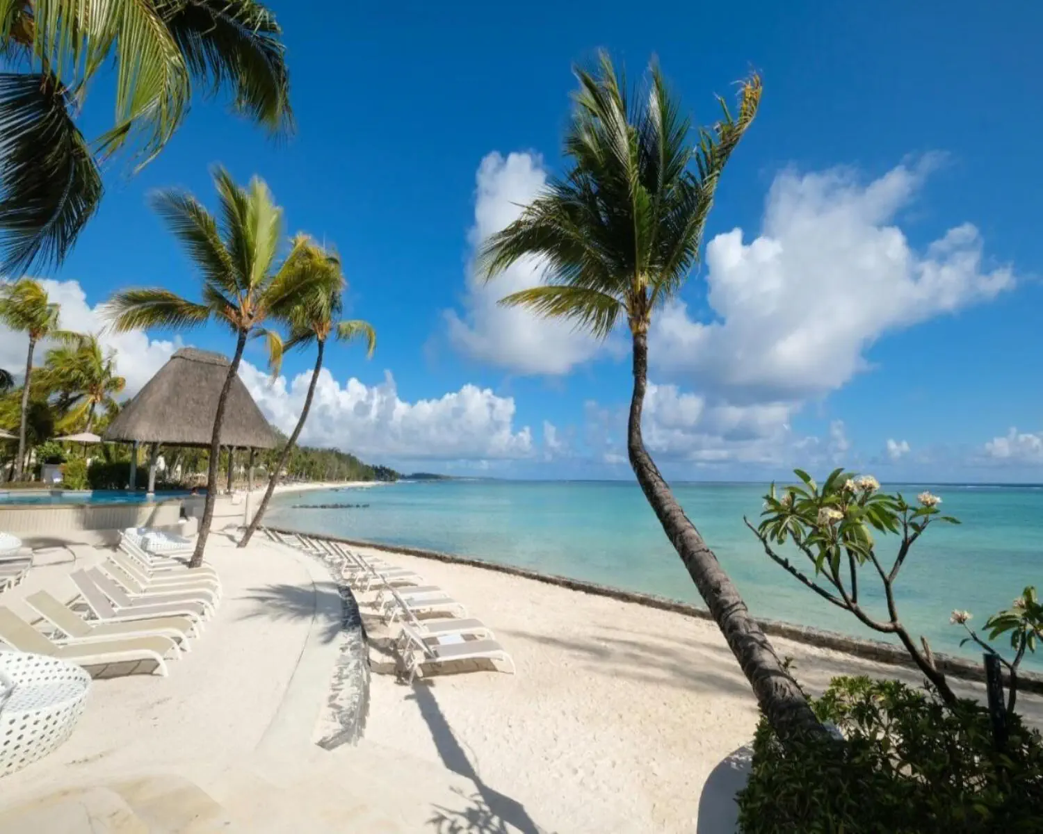 Ambre Mauritius - zdjęcie 5