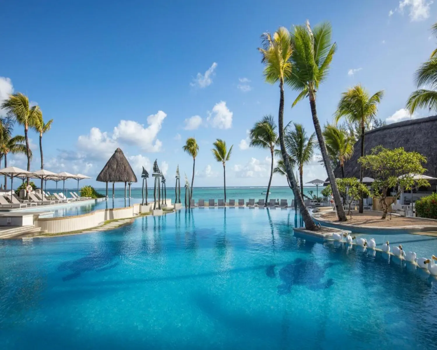 Ambre Mauritius - zdjęcie 2