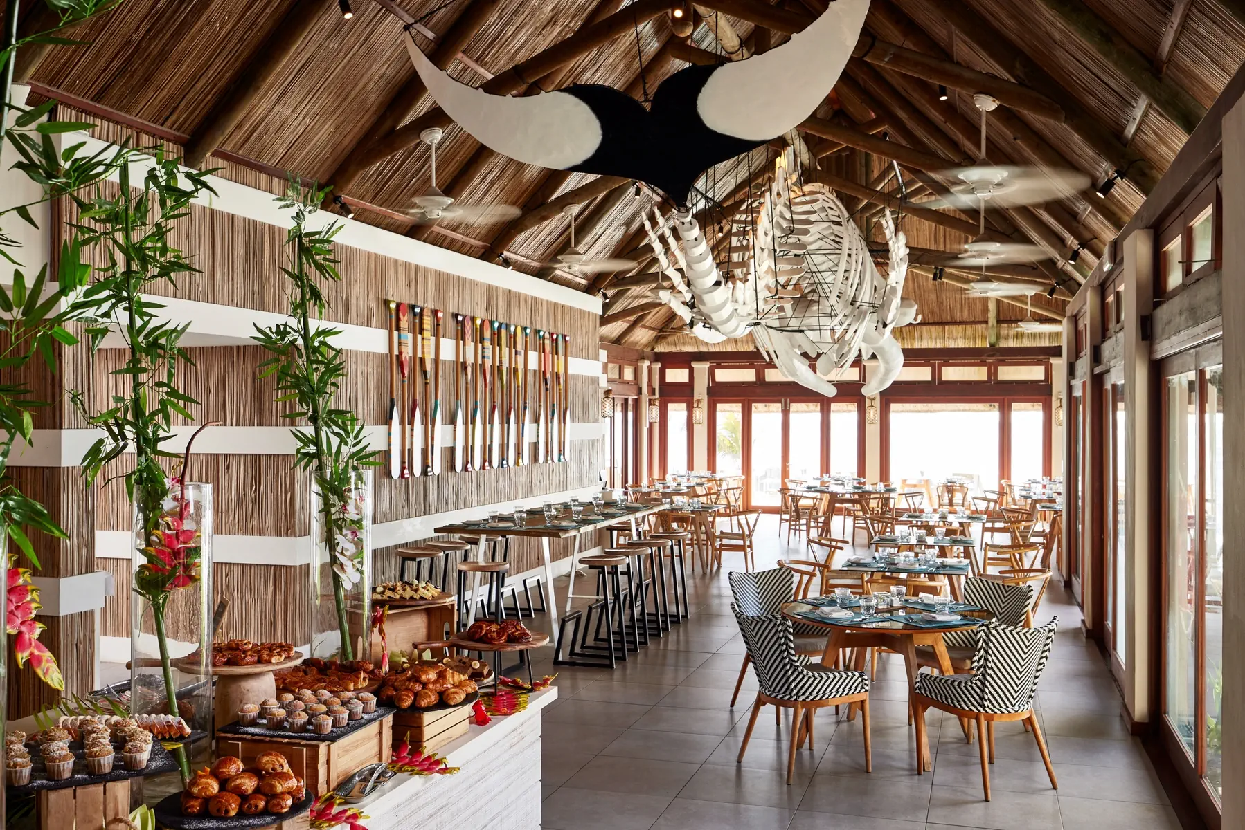C Mauritius Palmar - zdjęcie 5