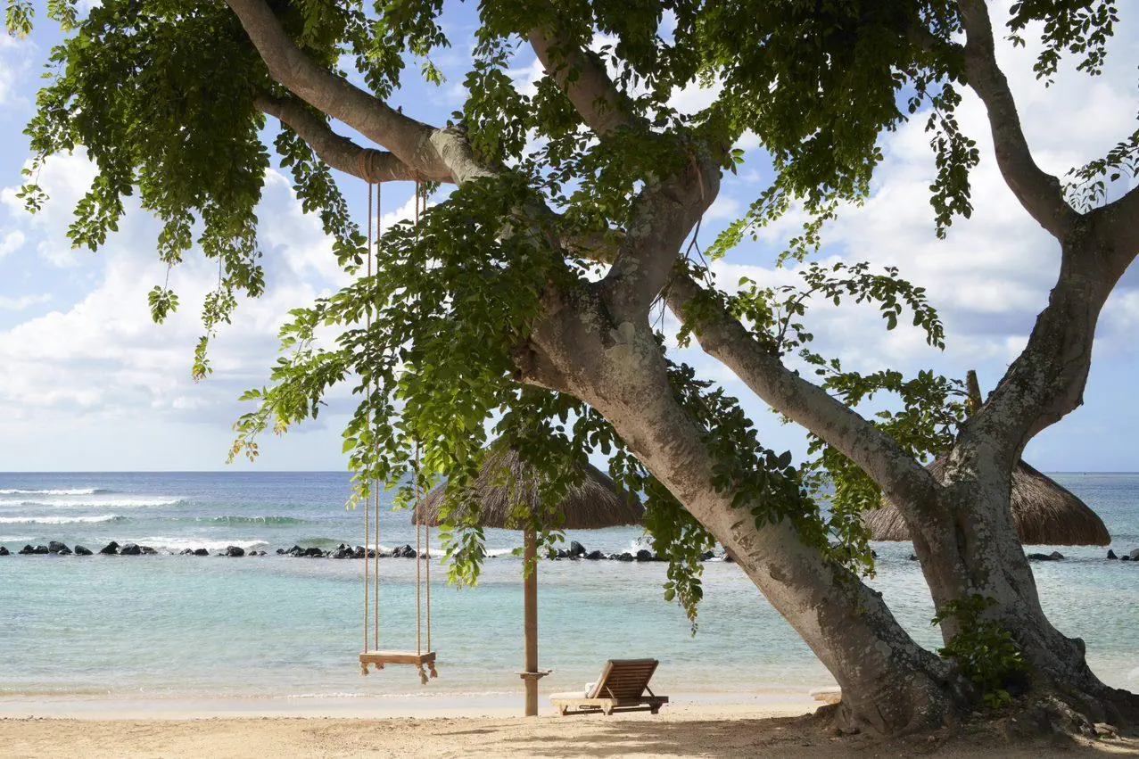 The Westin Turtle Bay Resort - zdjęcie 21