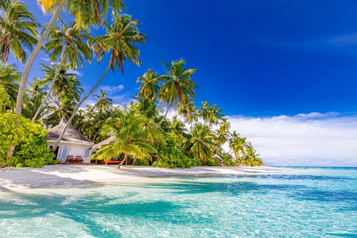 Sun Siyam Vilu Reef Maldives (ex. Sun Aqua) - zdjęcie 4