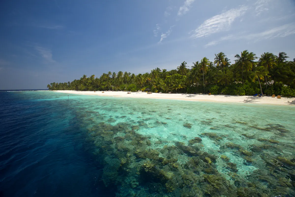 Filitheyo Island Resort - zdjęcie 3
