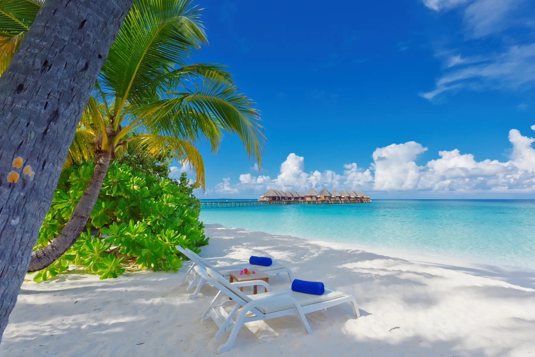 Angaga Island Resort & Spa - zdjęcie 4